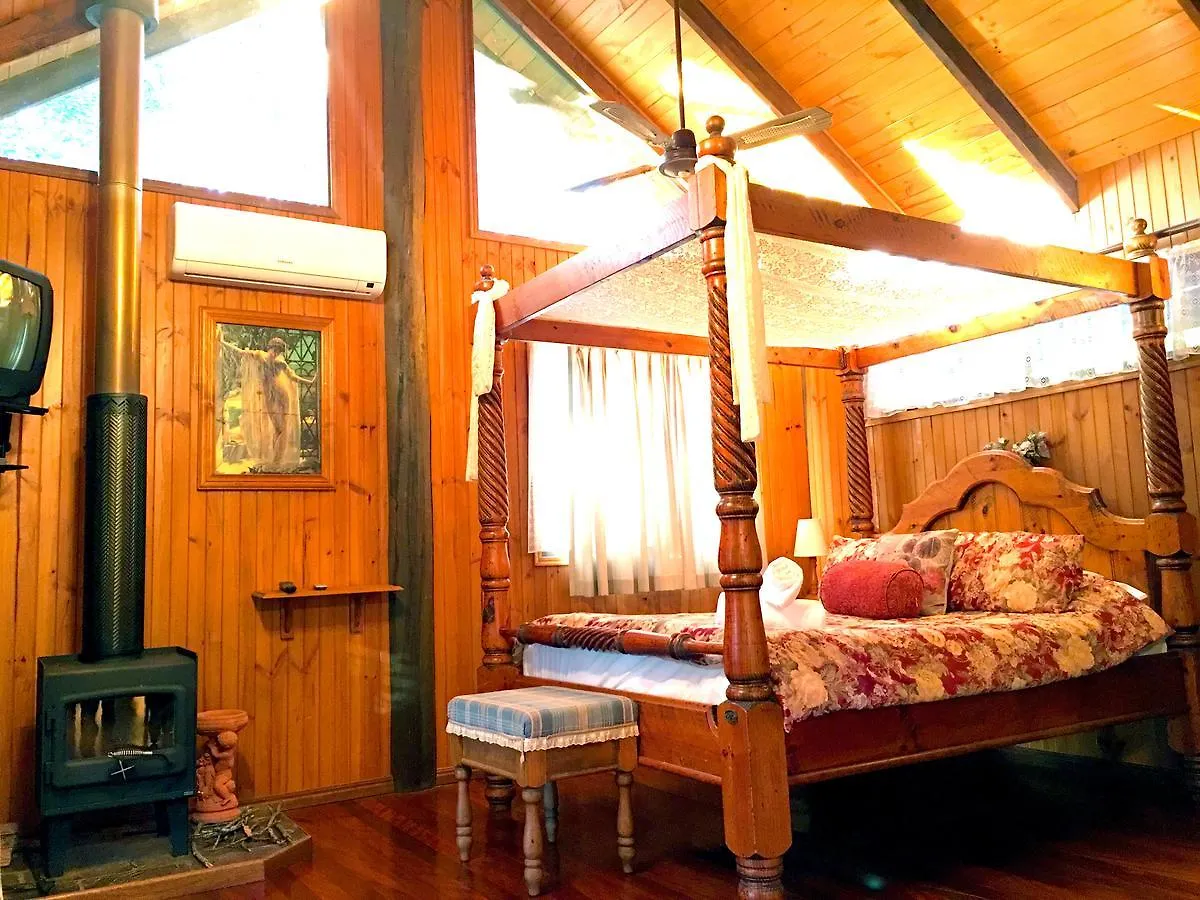 **** Motel Ecostudio Fellini Gold Coast Australia