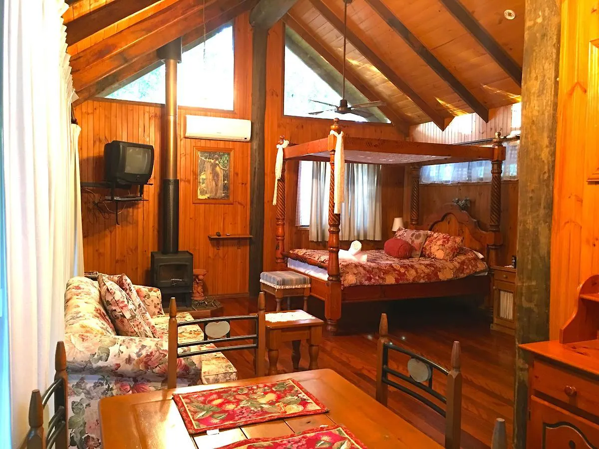 Ecostudio Fellini Gold Coast